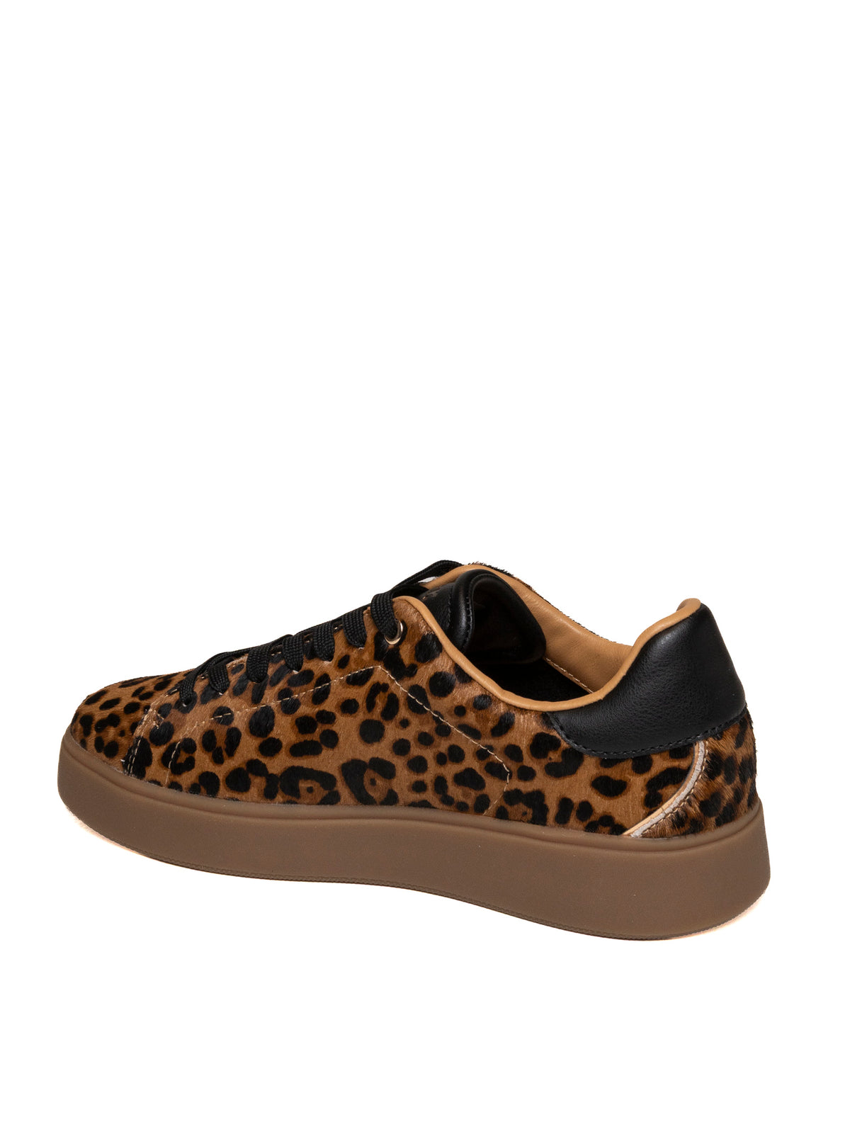 BLAUER VICTORY01 SUE/LEO-LEOPARD