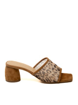 Chestnut