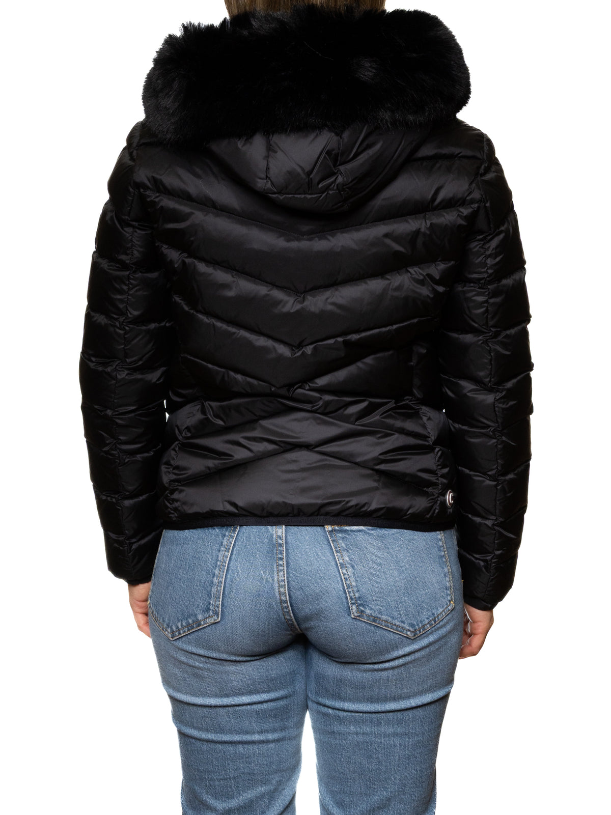 COLMAR  2219E 2YO-99 