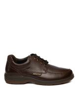 Chestnut