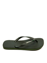 Oliva verde